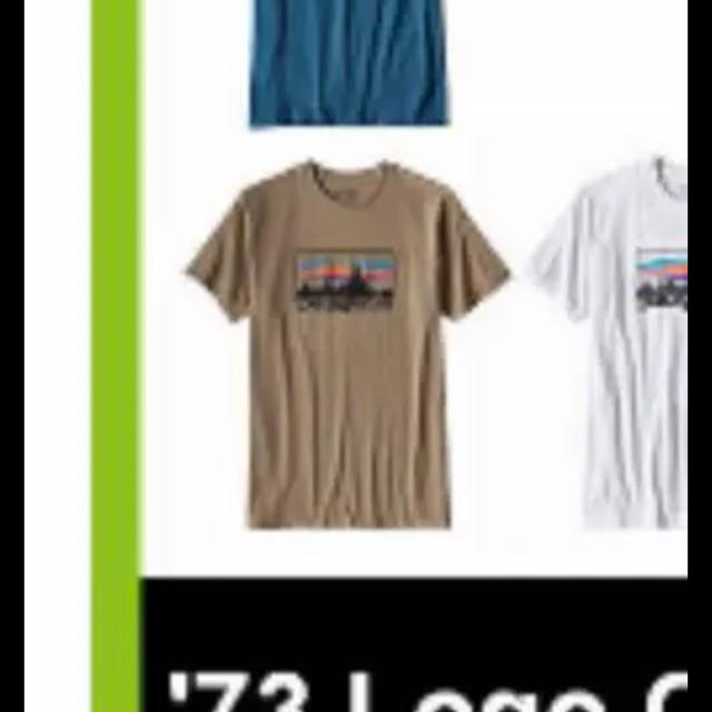 patagonia(パタゴニア)の2017春夏モデル パタゴニア　スリムフィットTシャツ レディースのトップス(Tシャツ(半袖/袖なし))の商品写真
