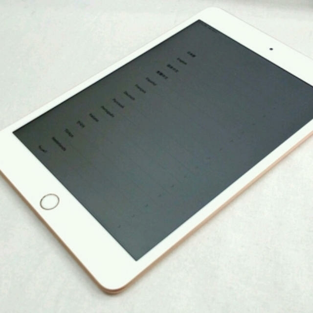 iPad mini5 2019 ゴールド 256GB