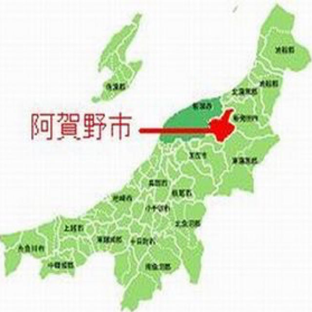 新米•令和元年産新潟コシヒカリ小分け3袋 農家直送玄米25㌔か白米22.5㌔11 のオシャレな enstetouan.ma