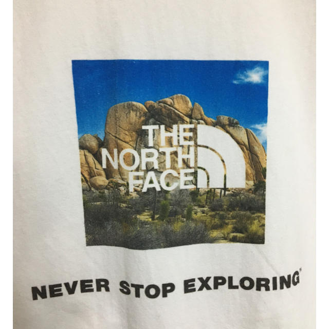 THE NORTH FACE(ザノースフェイス)の値下げ！ ノースフェイス ロゴTシャツ Joshua Tree メンズのトップス(Tシャツ/カットソー(半袖/袖なし))の商品写真