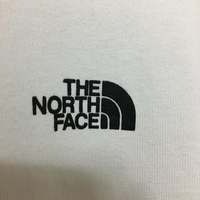 THE NORTH FACE(ザノースフェイス)の値下げ！ ノースフェイス ロゴTシャツ Joshua Tree メンズのトップス(Tシャツ/カットソー(半袖/袖なし))の商品写真