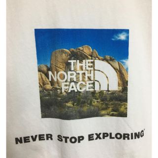 ザノースフェイス(THE NORTH FACE)の値下げ！ ノースフェイス ロゴTシャツ Joshua Tree(Tシャツ/カットソー(半袖/袖なし))