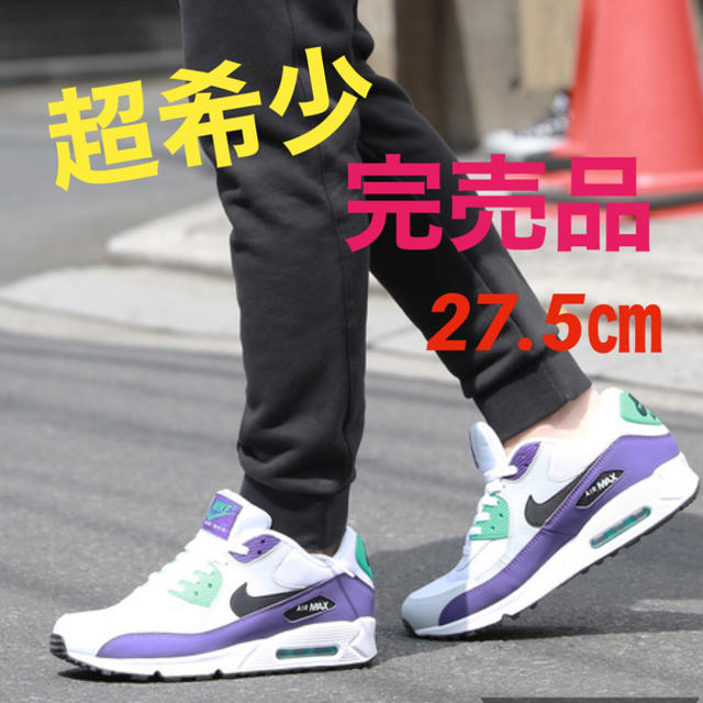 NIKE(ナイキ)の超希少！完売品！美品！ナイキ　NIKE エアマックス90 グレープ メンズの靴/シューズ(スニーカー)の商品写真