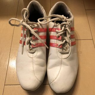 アディダス(adidas)の✩.*˚ アディダス adidas  ゴルフシューズ　24.5㎝ピンク ✩.*˚(シューズ)