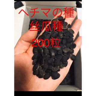 ヘチマの種200粒(野菜)