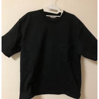 AURALEE スタンドアップTシャツ(Tシャツ/カットソー(半袖/袖なし))