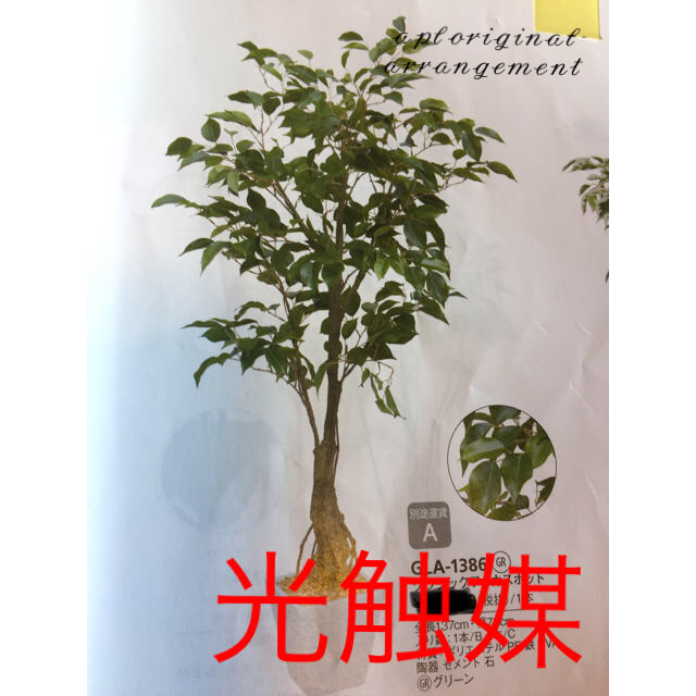 光触媒 人工観葉植物 クラッシックフィカス13773