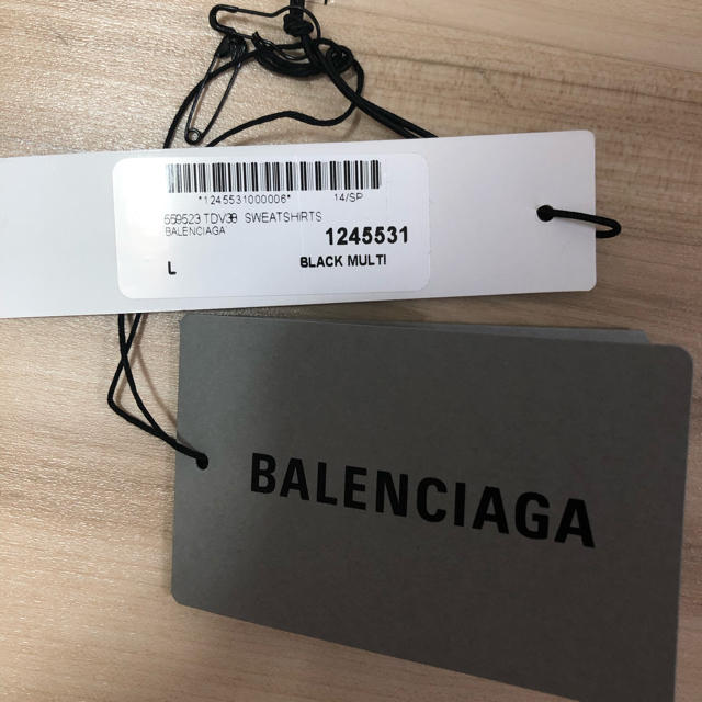 Balenciaga(バレンシアガ)のしん様専用 メンズのトップス(パーカー)の商品写真