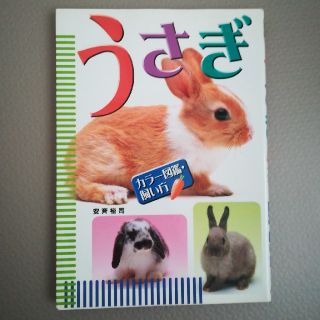 最終値下 ★　うさぎ カラ－図鑑・飼い方(文学/小説)