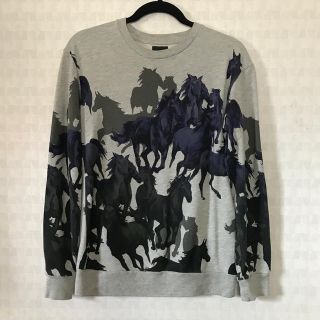 ザラ(ZARA)のZARA MAN ホース総柄 スウェット スエット S(検:レザー ライダース)(スウェット)