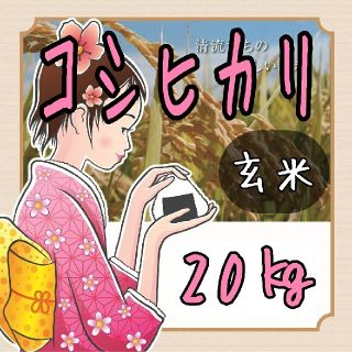 Ｒ元年産岐阜県東白川産コシヒカリ玄米20㎏【精米無料】【全国送料無料】(米/穀物)