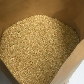 リピーター様 限定 コシヒカリ玄米10kg(5kg×2)令和元年 徳島県産の通販