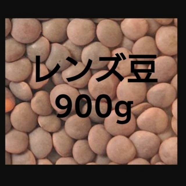 レンズ豆900g/Brown Lentil 食品/飲料/酒の食品(米/穀物)の商品写真