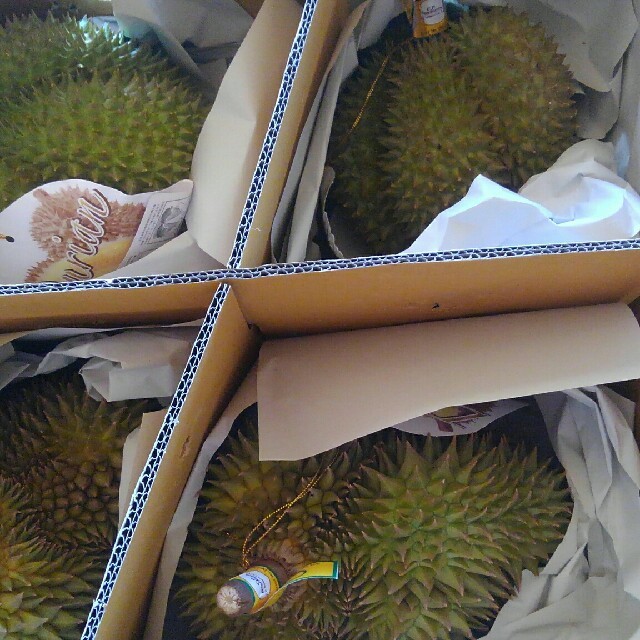 生ドリアン/Fresh Thai Durian 食品/飲料/酒の食品(フルーツ)の商品写真