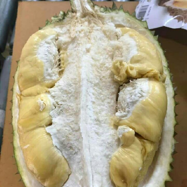 生ドリアン/Fresh Thai Durian 食品/飲料/酒の食品(フルーツ)の商品写真