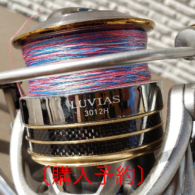 DAIWA　ルビアス3012h