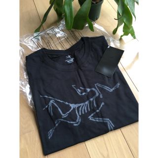 アークテリクス(ARC'TERYX)のアークテリクス Tシャツ 新品(Tシャツ/カットソー(半袖/袖なし))