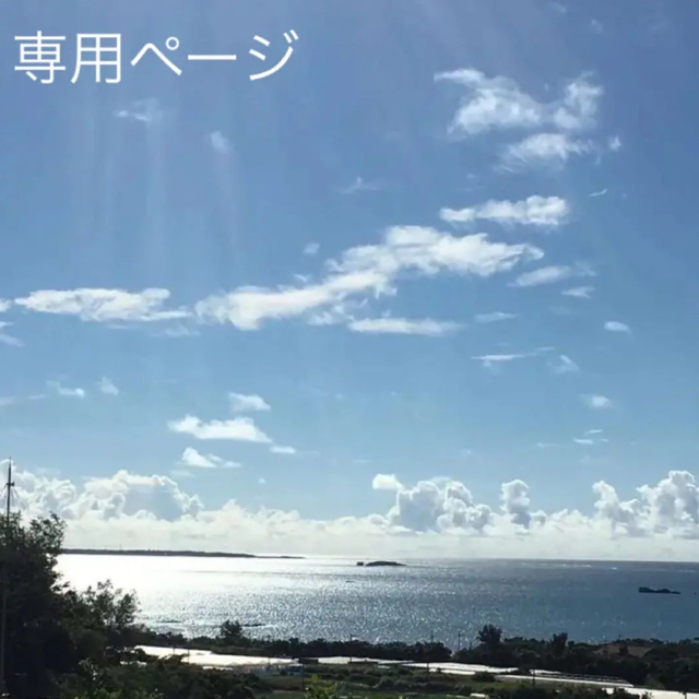 new-springさま専用