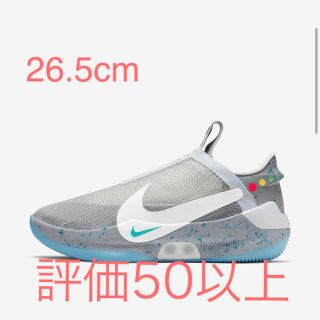 ナイキ(NIKE)のNIKE  Adapt BB ウルフグレー  アダプト (スニーカー)