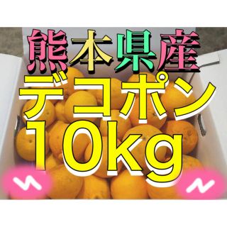 熊本県産デコポン10kg(フルーツ)