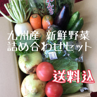 九州産　新鮮野菜　詰め合わせセット(野菜)