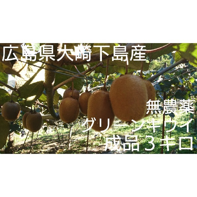 mahalo様専用 無農薬グリーンキウイ&訳あり紅はっさく&はるか詰め合わせセッ 食品/飲料/酒の食品(フルーツ)の商品写真