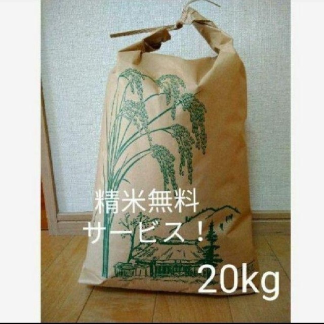 茨城県産　新米コシヒカリ食品
