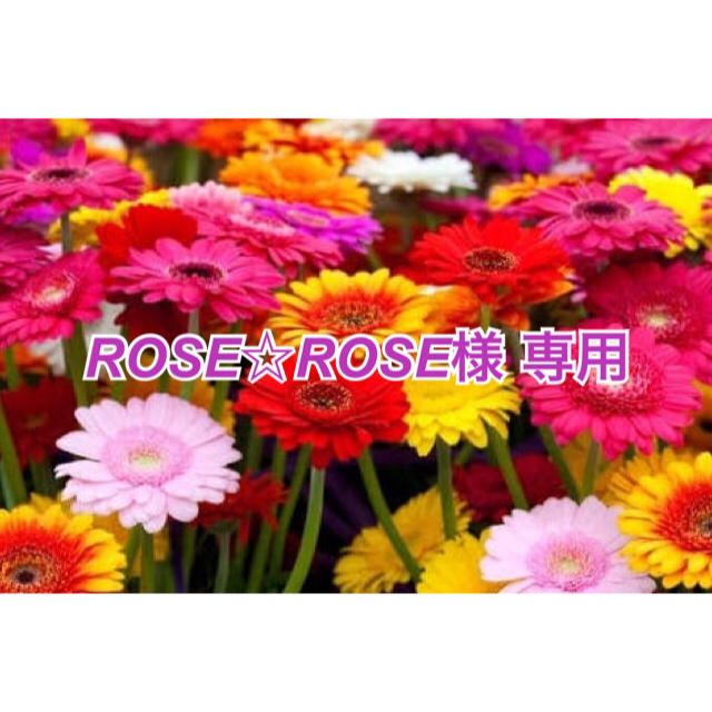 ROSE☆ROSE様専用 ハンドメイドのキッズ/ベビー(外出用品)の商品写真