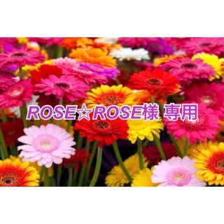 ROSE☆ROSE様専用(外出用品)