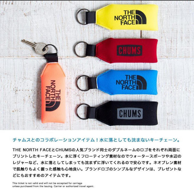 THE NORTH FACE(ザノースフェイス)のキーホルダー　ノースフェイス×チャムス　新品未使用タグ付き　ブラック　キーリング メンズのファッション小物(キーホルダー)の商品写真