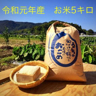 おすすめ☆農家自慢のお米☆5キロ(野菜)