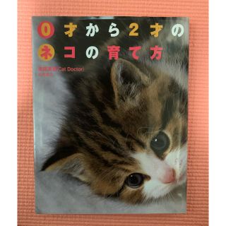 0才から2才のネコの育て方(猫)