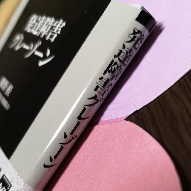 発達障害グレーゾーン エンタメ/ホビーの本(文学/小説)の商品写真