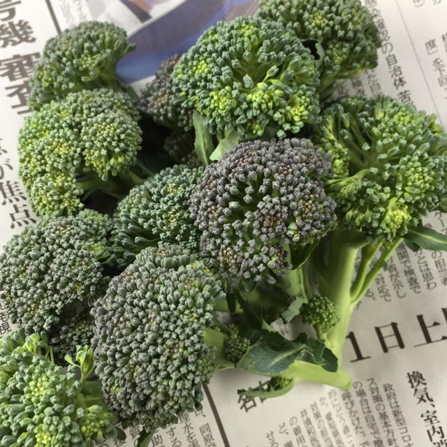 茎ブロッコリー、わき芽 食品/飲料/酒の食品(野菜)の商品写真