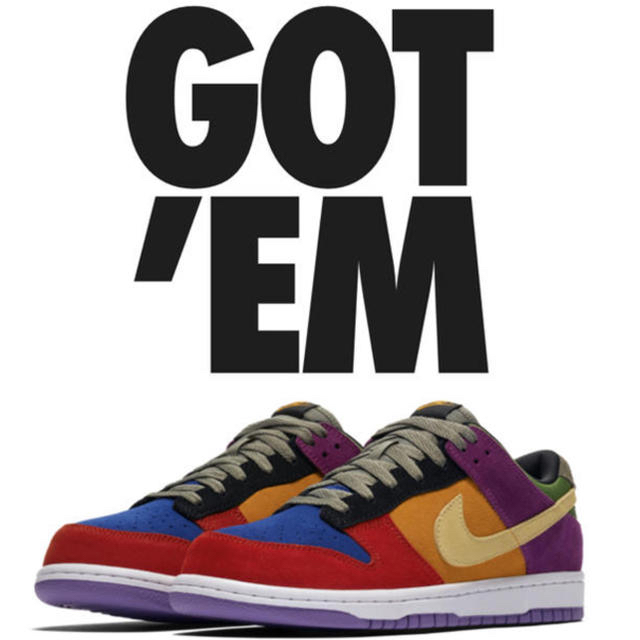 NIKE(ナイキ)のNIKE DUNK LOW SP VIOTECH 28cm メンズの靴/シューズ(スニーカー)の商品写真