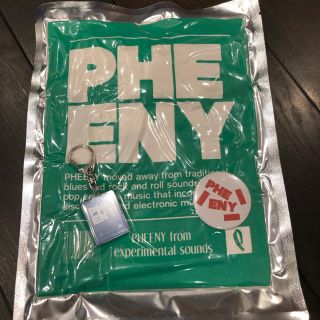 フィーニー(PHEENY)のフィーニー　pheeny beauty&youth別注ロンティー(カットソー(長袖/七分))