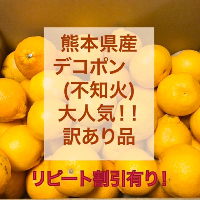 熊本県産　デコポン　20k