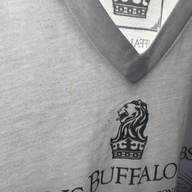 BUFFALO BOBS(バッファローボブス)のバッファローボブズ　Tシャツ　2　柄　リゾート メンズのトップス(Tシャツ/カットソー(半袖/袖なし))の商品写真