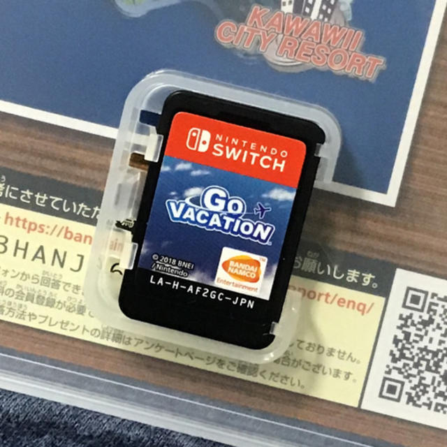 GO VACATION Switch エンタメ/ホビーのゲームソフト/ゲーム機本体(家庭用ゲームソフト)の商品写真