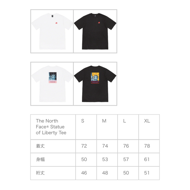 Supreme The North Face Tee  黒　Sサイズ