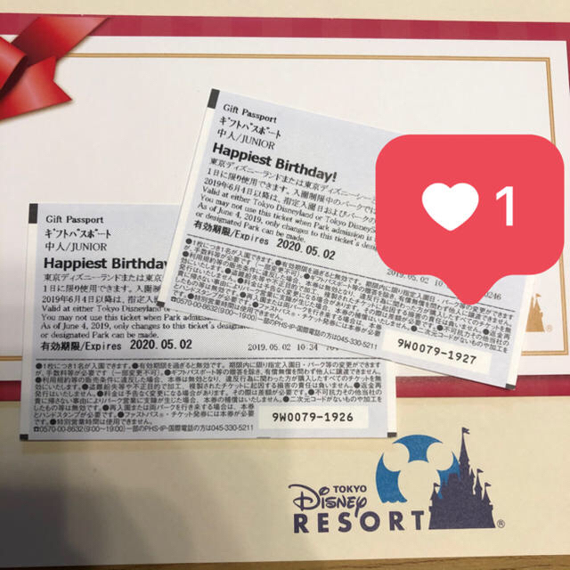 Disney(ディズニー)のディズニーペアチケット中人 チケットのチケット その他(その他)の商品写真