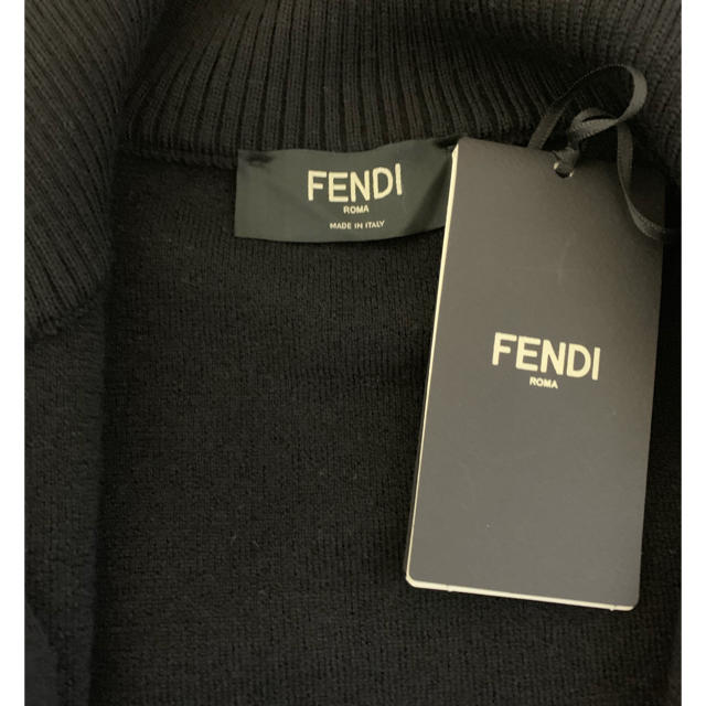 FENDI(フェンディ)のFENDI タートル ジャージ メンズのメンズ その他(その他)の商品写真