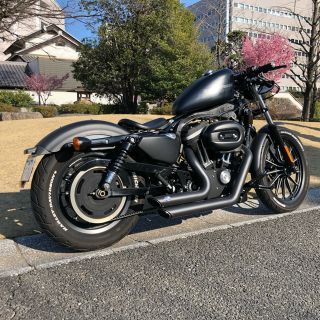 ハーレーダビッドソン(Harley Davidson)のスポーツスターXL883N 2011年式(車体)