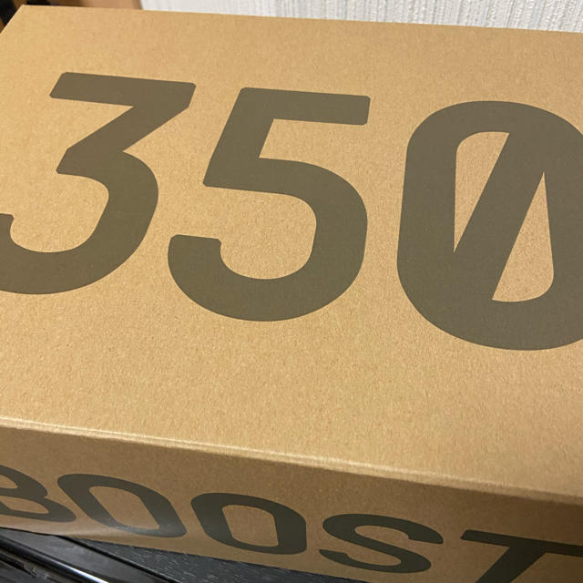 adidas Yeezy Boost 350 V2 Beluga 2.0