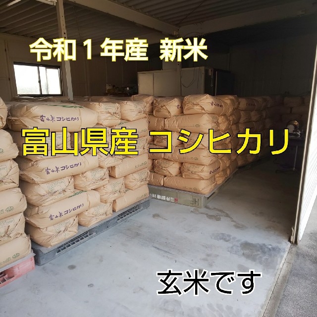 ひまわり´s shop by ミニ 様専用 令和元年産 富山県産 コシヒカリのサムネイル