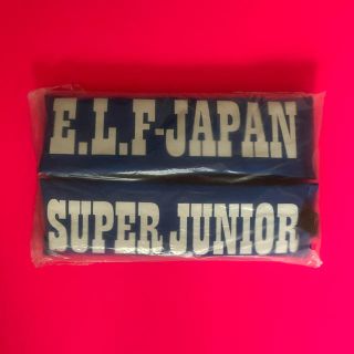 スーパージュニア(SUPER JUNIOR)の折畳みクッション(ビーズソファ/クッションソファ)