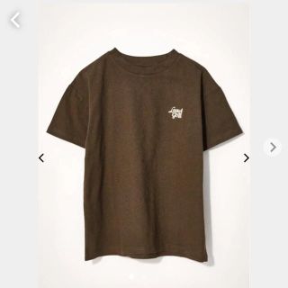 シェルターオリジナル(Shel'tter ORIGINAL)のlagua gem Tシャツ ブラウン(Tシャツ(長袖/七分))