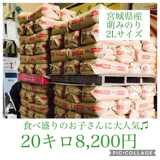 大容量パック☆宮城県産萌えみのり20キロ