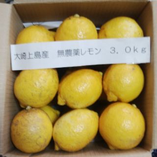 広島県大崎上島産無農薬レモン3.0kg(フルーツ)