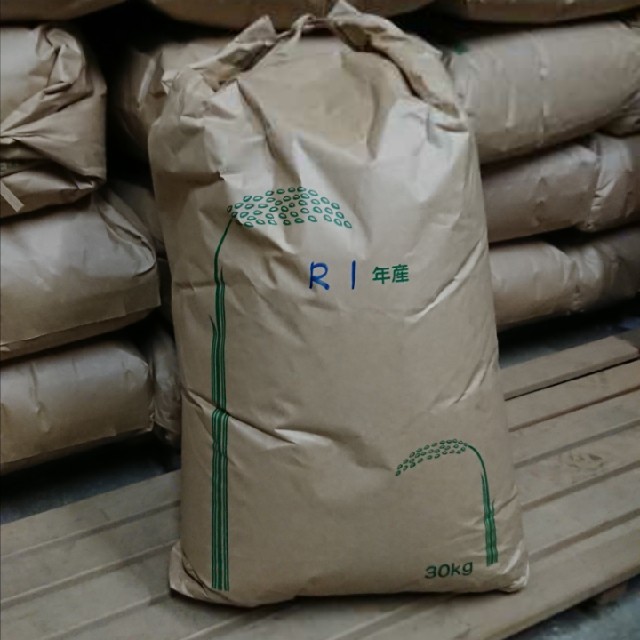 コシヒカリ　千葉県産　玄米　米/穀物　令和元年　30キロ